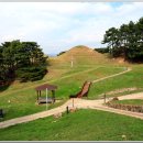 신기리 고분군 이미지