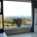 돈내코힐 리조트 이미지