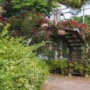 공운삼거리 이미지