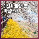 온양1동 번영로 이미지
