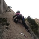 푸른솔길 이미지