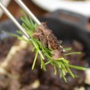 삼정회관 이미지