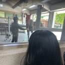아이웨이투어 | [아이와 유익하게 놀기 #2] 말들의 비밀 공간 탐험 '시크릿 웨이 투어' 아이와 꼭 가보세요!