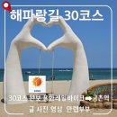 삼척 가볼만한곳 해파랑길 30코스 총정리: 용화레일바이크부터 황영조기념공원, 궁촌까지 걷기 여행