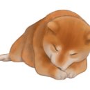 제이케이랩 이미지