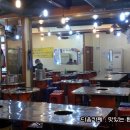 장수갈매기 이미지