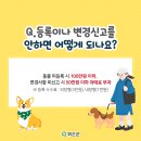 개명동물병원 이미지