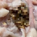 하림생닭 - 사하구 장림시장5길 97 | 하림생닭