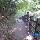 온달평강 이미지