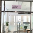 바디소나타 이미지