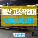 대건렌탈 이미지