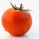 토마토약국 이미지