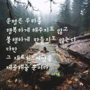 2018년12월16일(일요일) 돈을 보는 눈 이미지