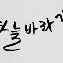 캘리공장