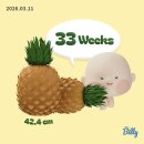 33떡볶이대구봉덕점 | P20. [임신 후기] 위시리스트(성심당) 청산한 33