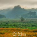 사랑의언덕 이미지