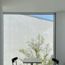 오르토커피(ortho coffee) 이미지