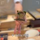 모리노카메 이미지