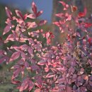 남천병원 이미지