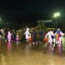 달맞이밤 이미지