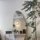 인지솔카페 이미지