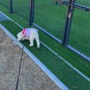 동해애견센터 이미지