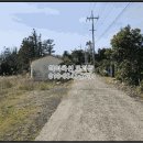 표선리-14 이미지