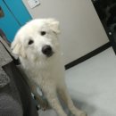 문수동물병원 이미지