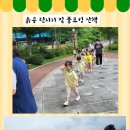 인성어린이집 Daum카페