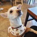 어반식당 이미지