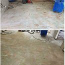 책향기마을12단지 진흥효자 이미지