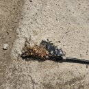 오포2동-3 이미지