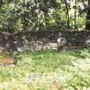 삼달1리마을회관 이미지