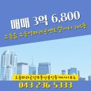 정부동산공인중개사사무소 이미지