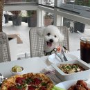 몽스토랑 이미지