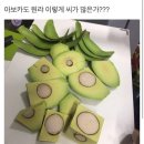 아보카도 자르는 법을 몰랐던 사람.... 이미지