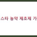 신스타 이미지