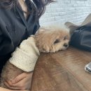 monthlyㅣ순서는 엉망진창인 대략 3-5月의 기록들, 스압주의