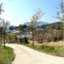 정남진테마숲 이미지