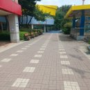 백송초등학교 이미지