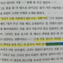 브람스를 좋아하세요 | 프랑수아즈 사강 브람스를 좋아하세요 후기, 시몽과 로제 서로 다른 두명 중에서 과연 폴은 누구를 선택...