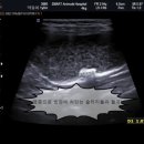 김해동물병원 이미지