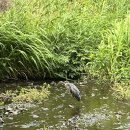 개신농장 이미지