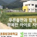 대안학교나 발도로프 교육에 관심이 있으신 분(푸른들판 초등방과후학교) 이미지