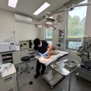 북부동물병원 이미지