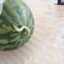 우곡그린복합영농조합법인 이미지