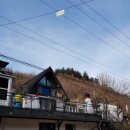 피치코코펜션 | 따뜻한 수영장에 힐링한 서울근교 가평 피치코코 키즈 펜션 행복두모금~
