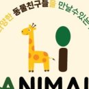 아기동물카페 이미지