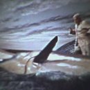 the sea 펜션 이미지