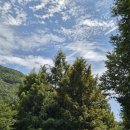 D6 | 양평 캠핑장| 뷰도 시설도 최고인 스테이네이처 캠핑장 D6사이트 내돈내산 후기